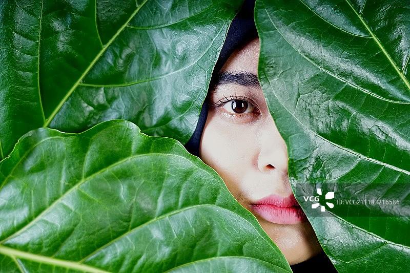 被树叶遮住脸的穆斯林妇女图片素材