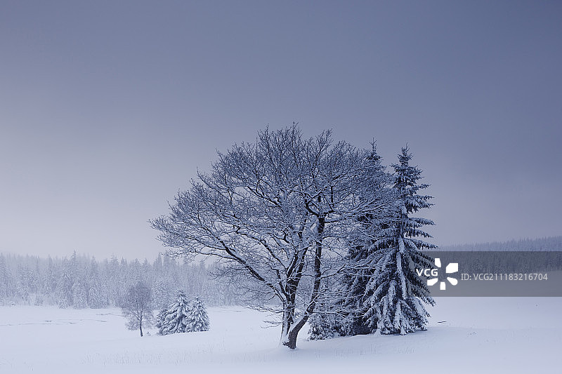 山间冬日图片素材