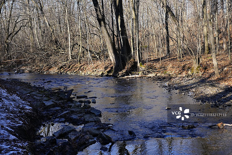 霍布斯森林图片素材