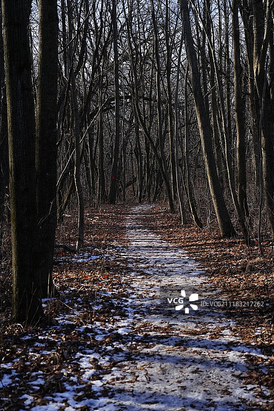 霍布斯森林图片素材
