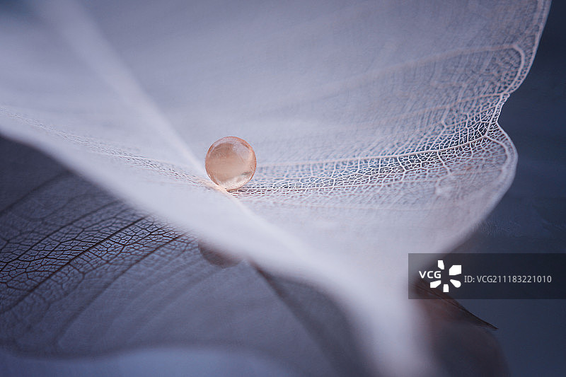 特写视图图片素材