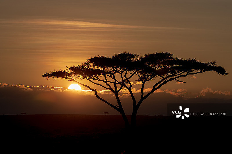 坦桑尼亚图片素材