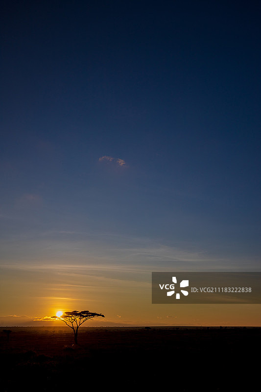 坦桑尼亚图片素材