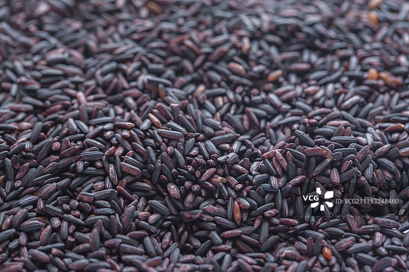 大量的紫米图片素材