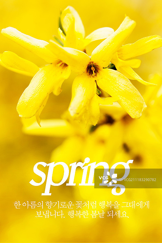 季节春天花卉自然图片素材