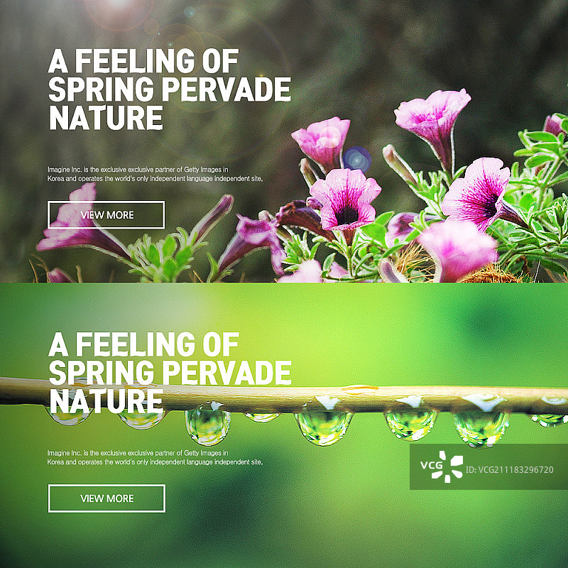 春日风光banner图片素材