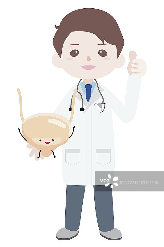 医生检查膀胱图片素材