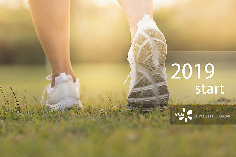 2019猪年新年春节图片素材