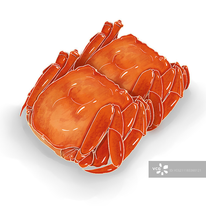 大闸蟹图片素材