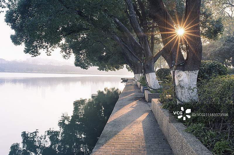 玄武湖畔的阳光图片素材