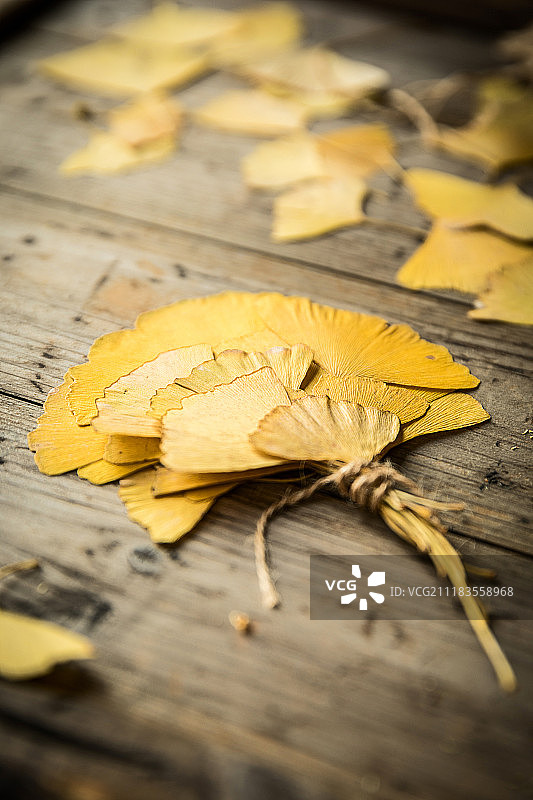 银杏叶图片素材