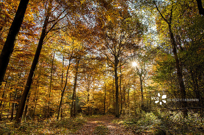 秋季徒步图片素材