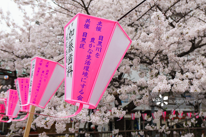 旅游形象图片素材