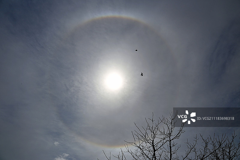 日晕和两只乌鸦图片素材