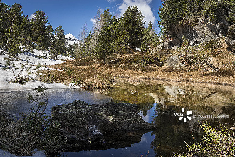卢科马尼奥塞尔瓦塞卡图片素材
