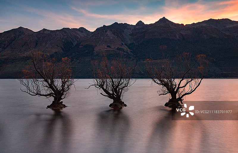 日落时分湖中生长的树木图片素材
