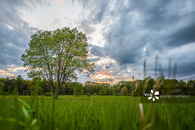 暴风雨的春夜图片素材