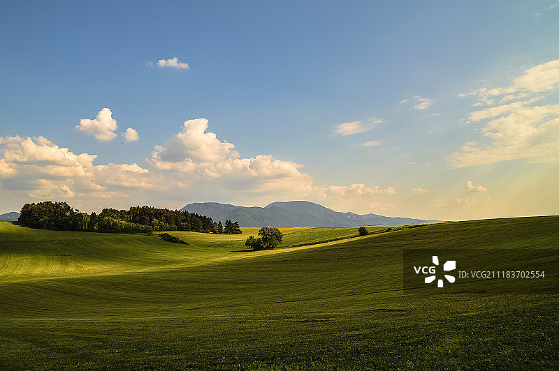 斯洛伐克图里埃茨的草甸图片素材