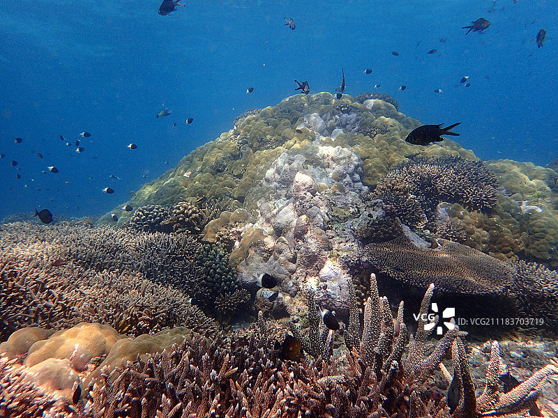 巴扎鲁托群岛上的双英里礁图片素材