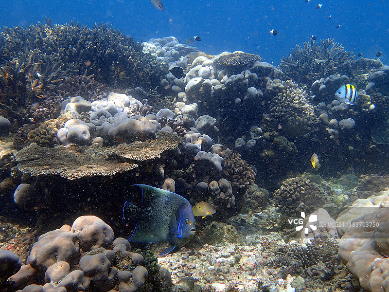 巴扎鲁托群岛上的双英里礁图片素材