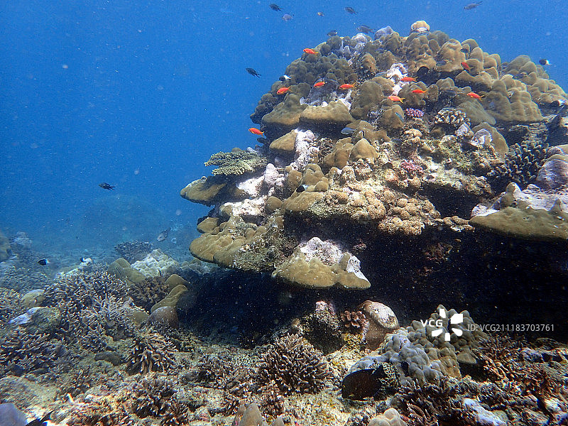 巴扎鲁托群岛上的双英里礁图片素材