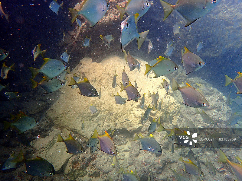 巴扎鲁托群岛上的双英里礁图片素材