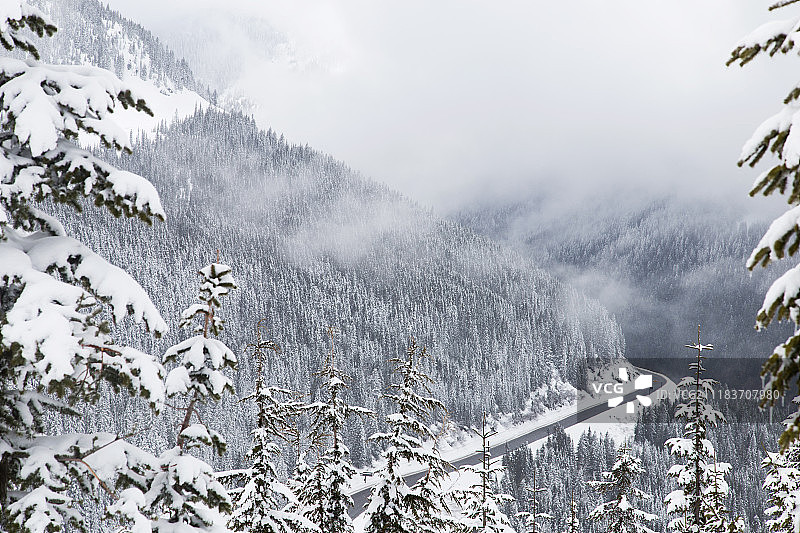雪山和树木图片素材