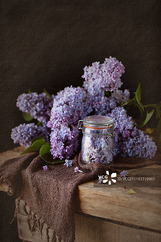 丁香花草本组合图片素材