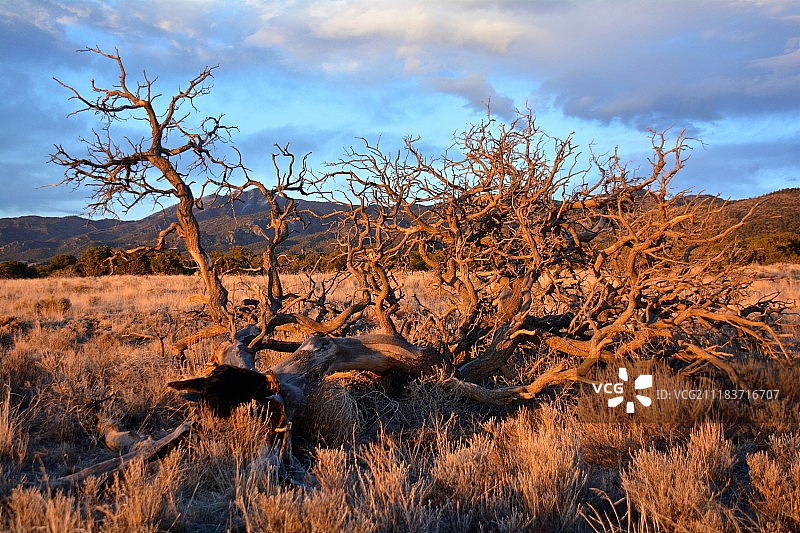 缓慢归来图片素材