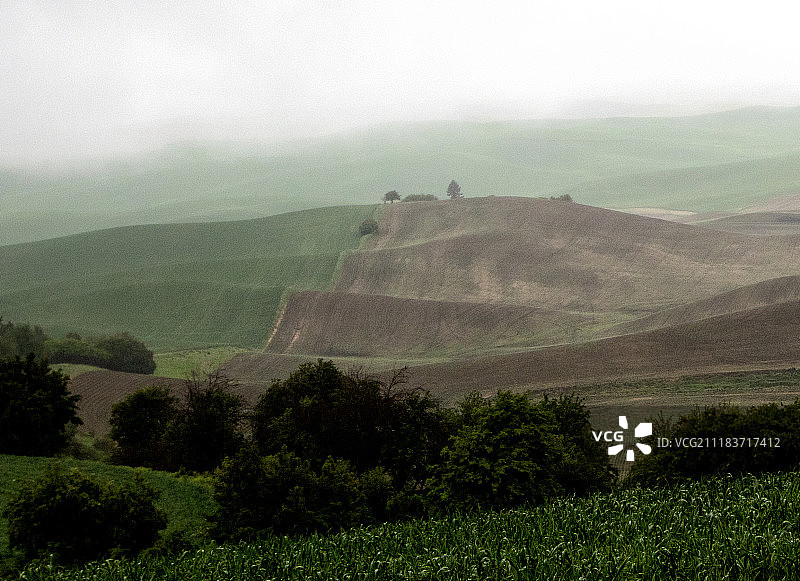 美国帕卢斯雾气笼罩的丘陵图片素材