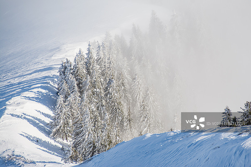 阳光与雾图片素材