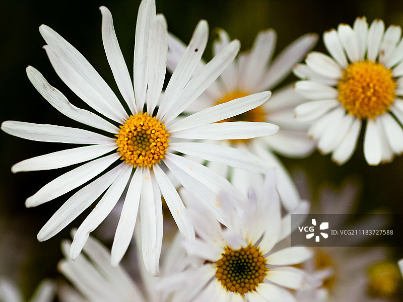 敞开的光图片素材