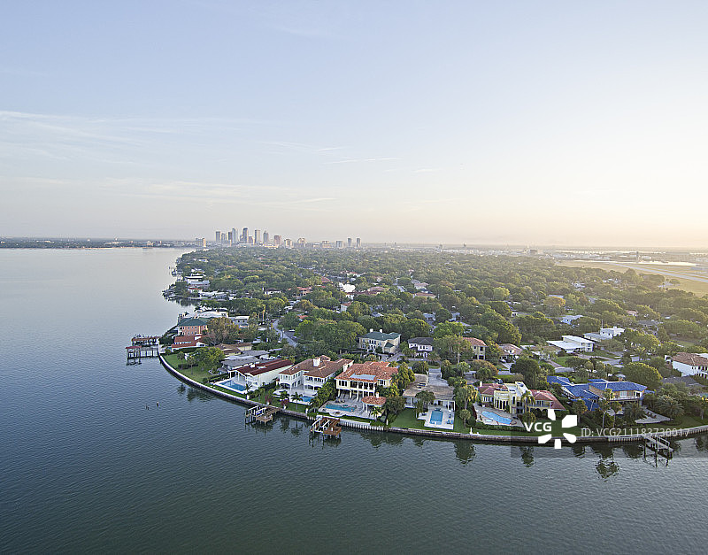 鸟的照片图片素材