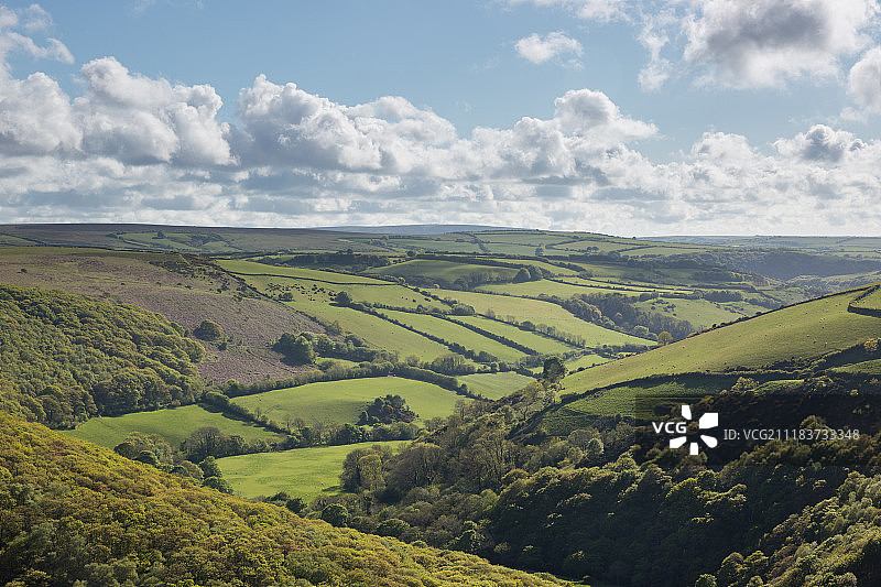 Exmoor一瞥图片素材