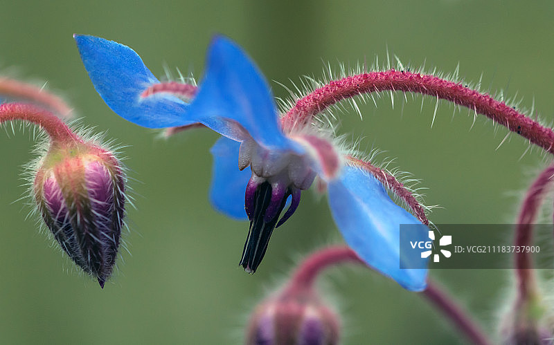 被遗忘的时光图片素材