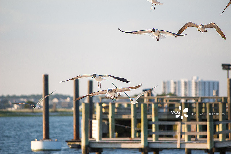 赖茨维尔海滩图片素材