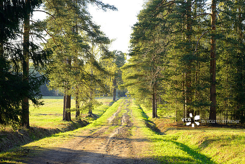 春季公园图片素材