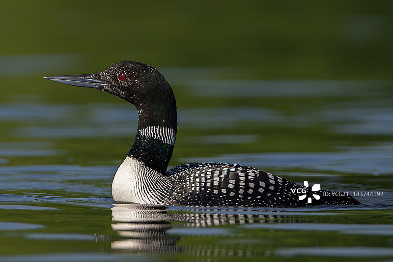 非同寻常图片素材