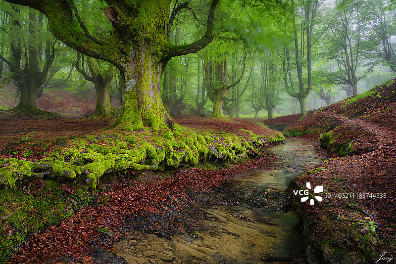 寻找我的光芒图片素材