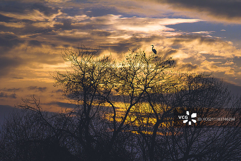 的观点图片素材