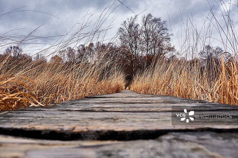 霍斯芬图片素材