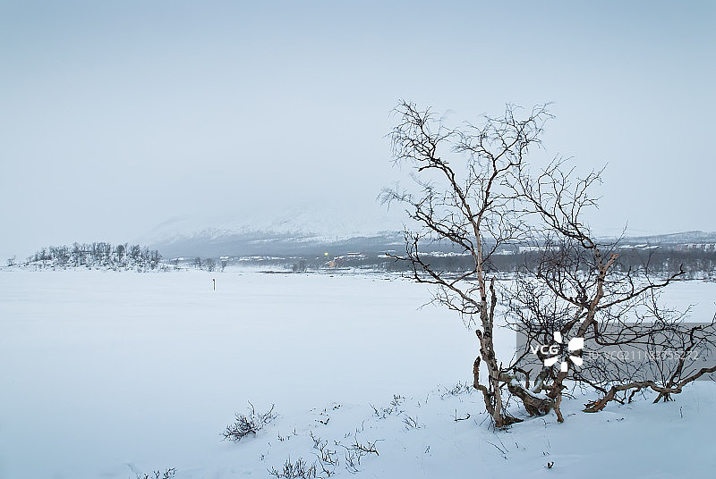 苔原冬季景观图片素材