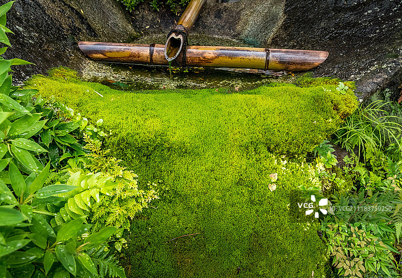 竹制喷泉和苔藓图片素材