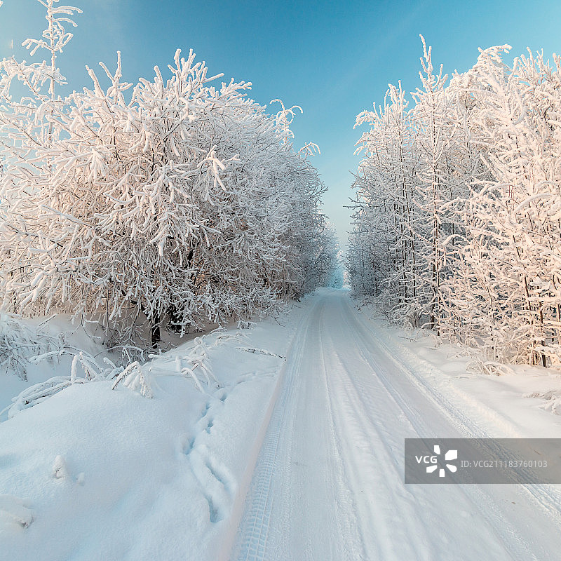 通往童话故事的道路图片素材
