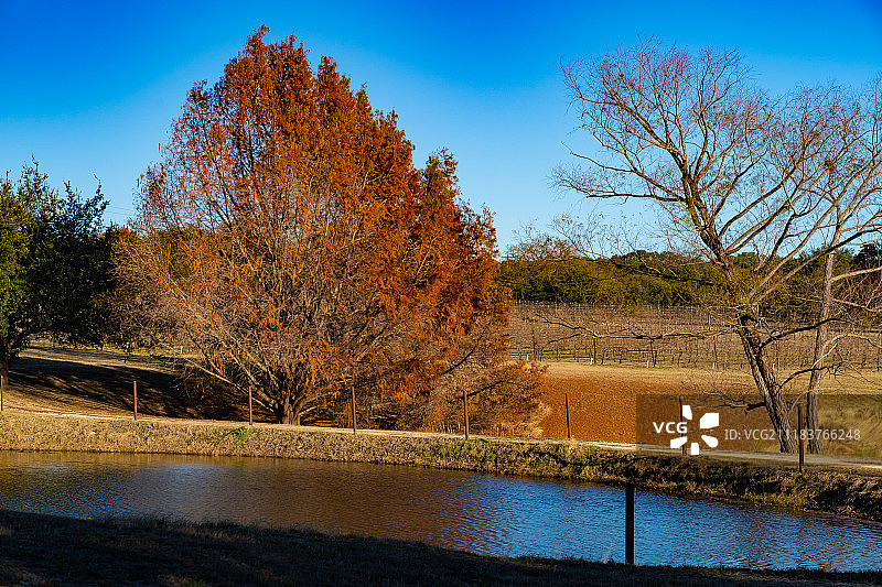 得克萨斯丘陵地带风光图片素材