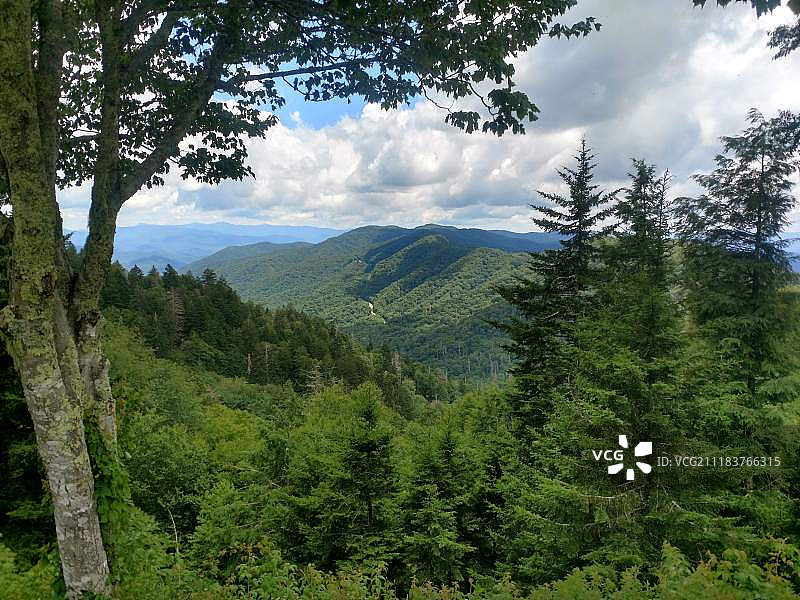 纽芬兰峡谷的田纳西河谷图片素材