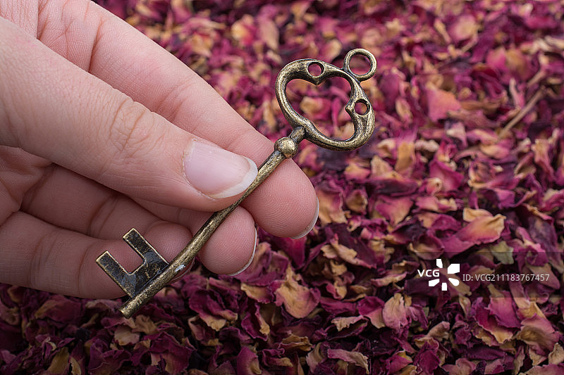 干玫瑰花瓣背景上的钥匙图片素材