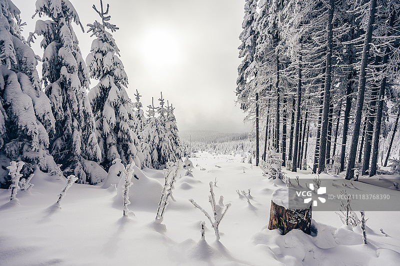 冬季克尔科诺谢山图片素材