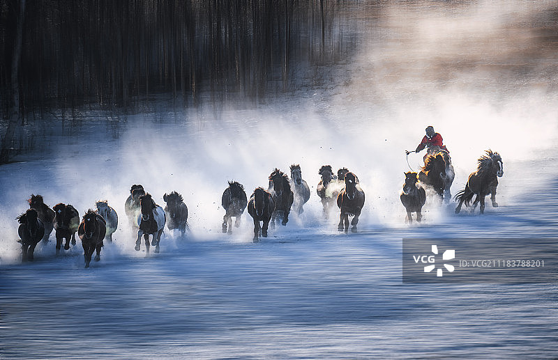 2019马到成功图片素材