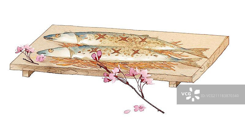 写实秋刀鱼图片素材
